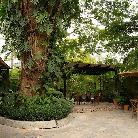 Caracoral Hotel Boutique-3